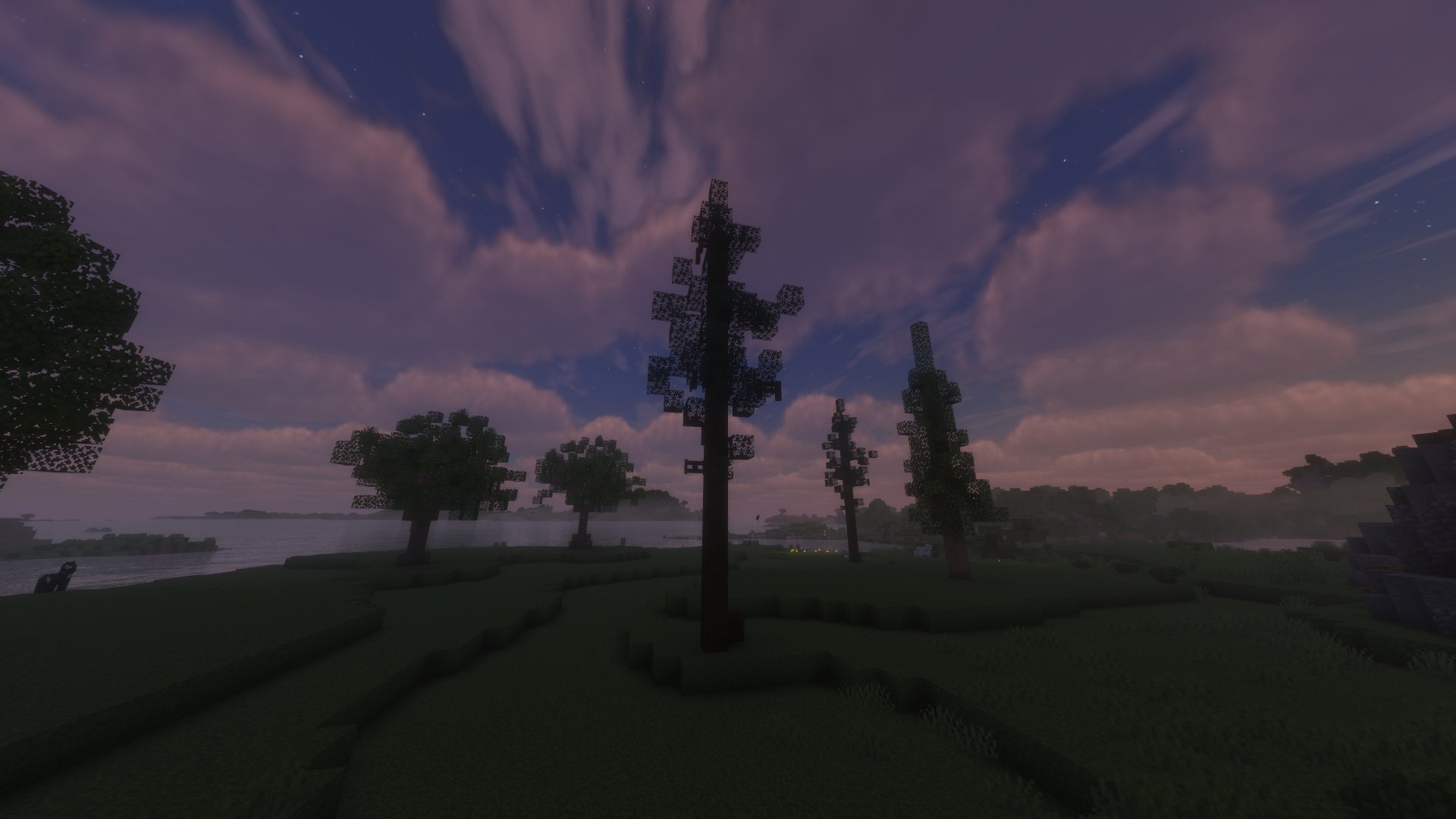 Thin Tree – key image