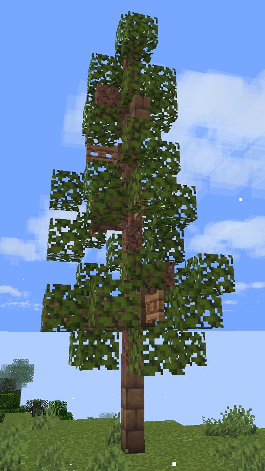 cool tree – key image