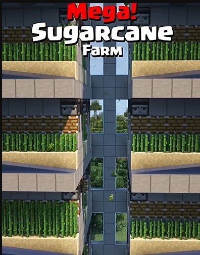 Sugarcane farm minecraft – key image