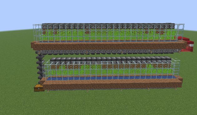sugar cane farm – key image