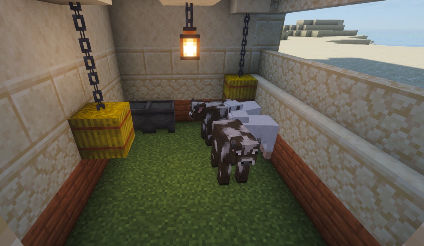 Desert Starter House – additional image