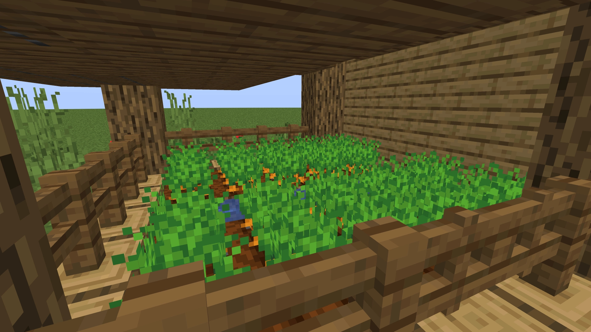 Small Starter Base – additional image
