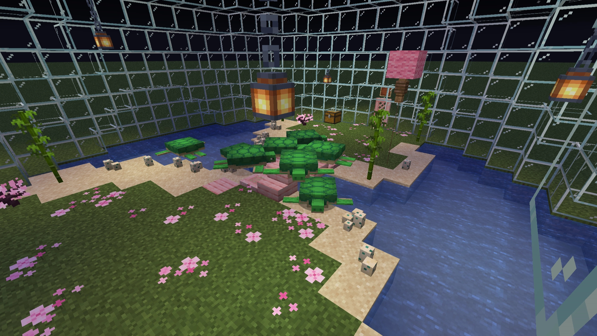 dome for turtles – additional image