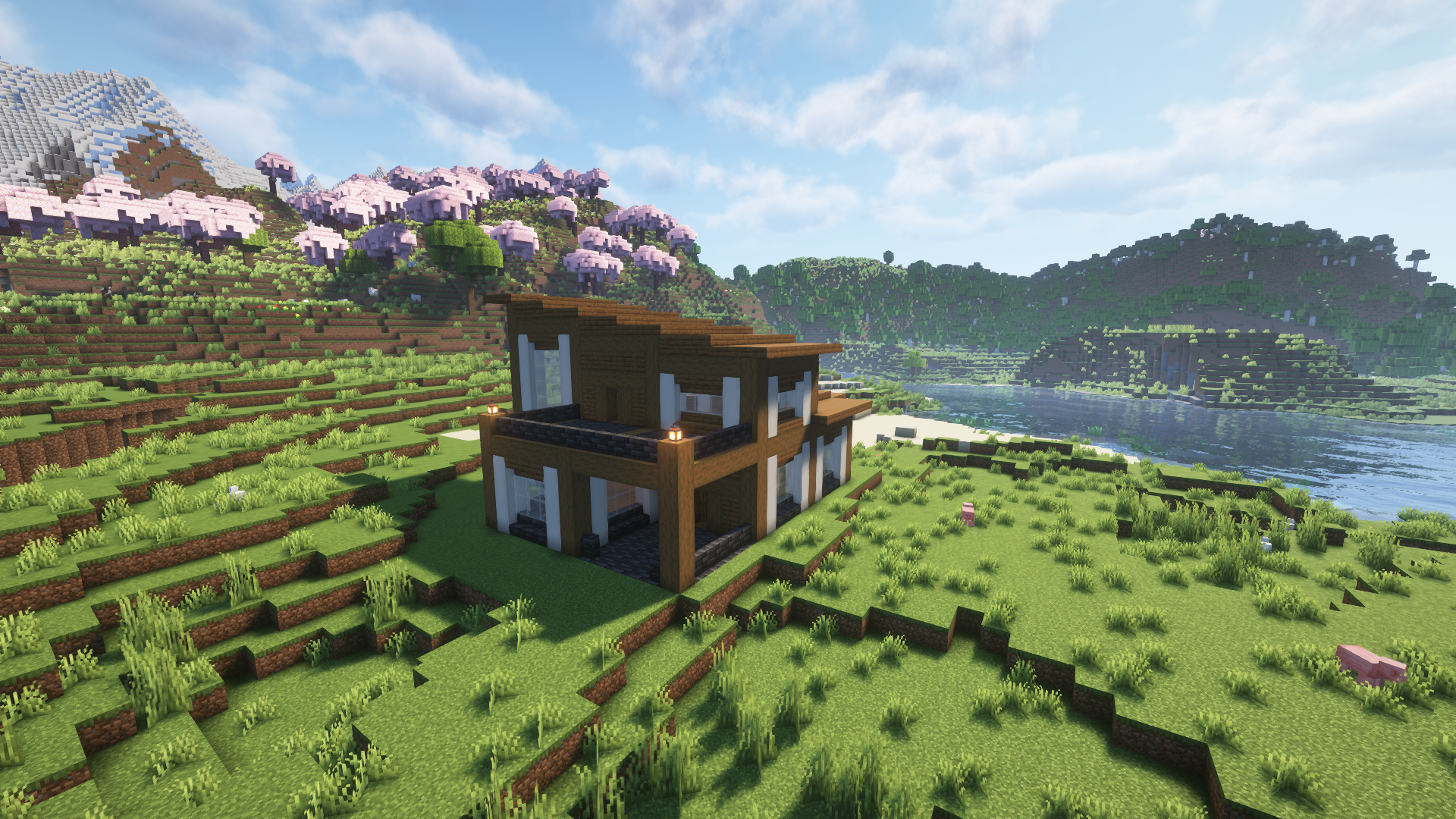Medium Modern House – additional image