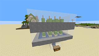 Minecraft Cactus Farm Schematic (litematic)