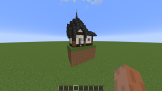 Minecraft Small Starter House 1 Schematic (litematic)